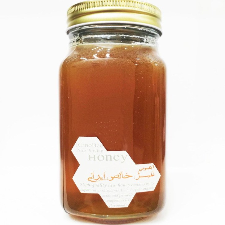 آیگینوبی عسل خالص گون 800 گرم