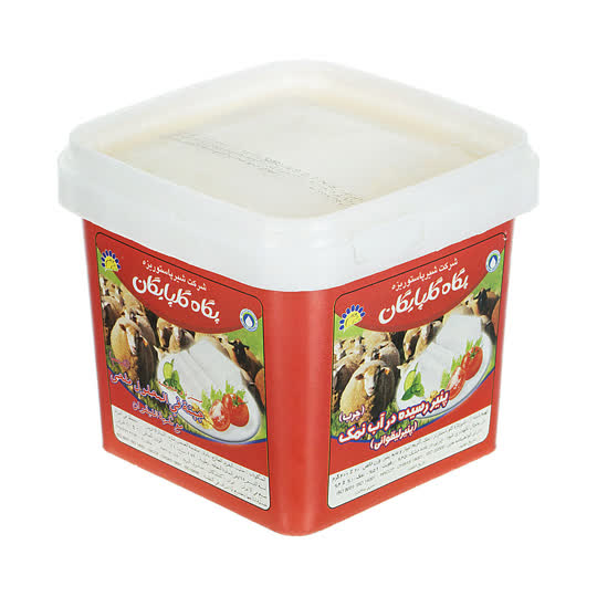 پگاه پنیر لیقوان پرچرب رسیده در آب و نمک 400 گرم