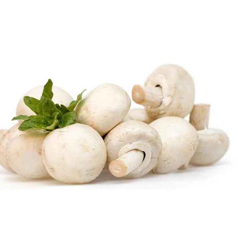 قارچ فله (یک کیلو)