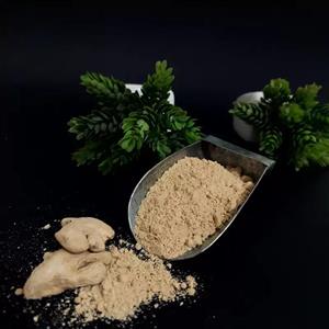 الیت پودر زنجبیل ساشه 40 گرم