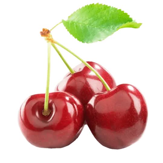 گیلاس مجلسی