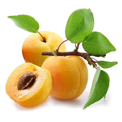زردآلو ممتاز