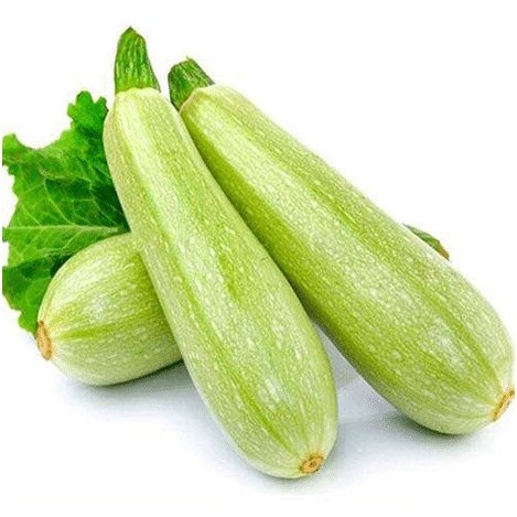 کدو سبز ممتاز