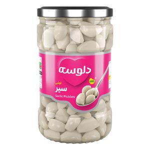 دلوسه ترشی سیر  680 گرم