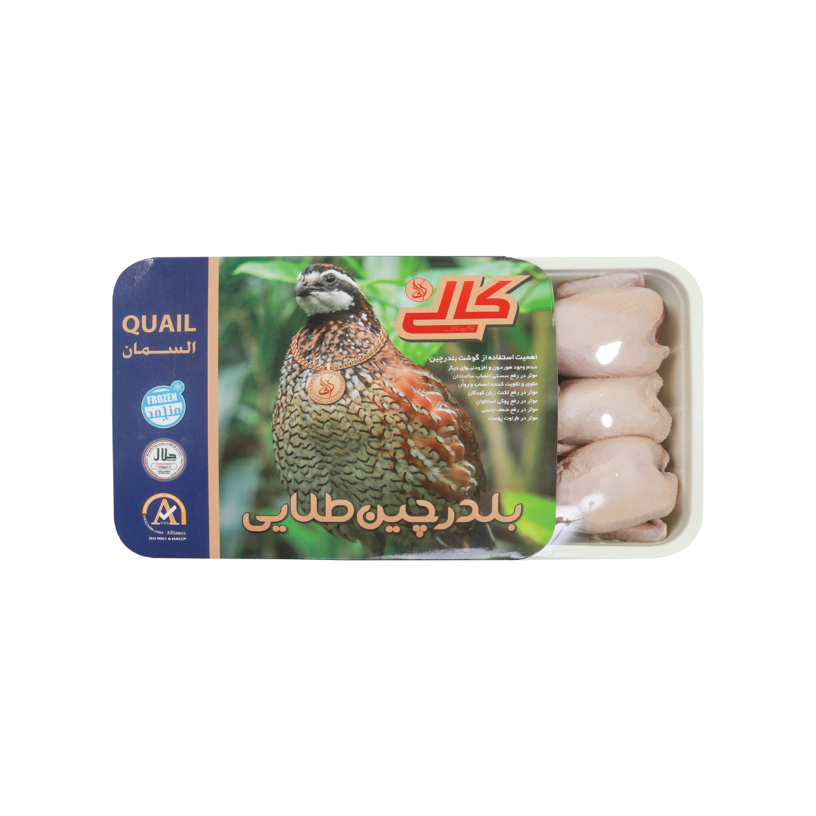 كالي بلدرچين طلايي منجمد