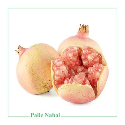 انار شیرین ممتاز