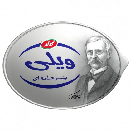 کاله پنیر خامه ای ویلی 400گرم 🧀