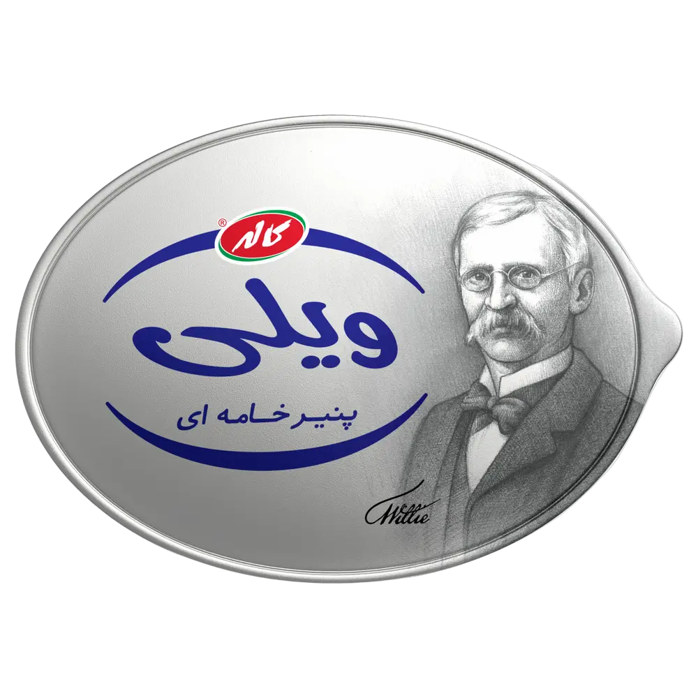 کاله پنیر خامه ای ویلی 200 گرم 🧀