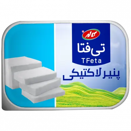 کاله پنیر لاکتیکی تی فتا 400گرمی🧀